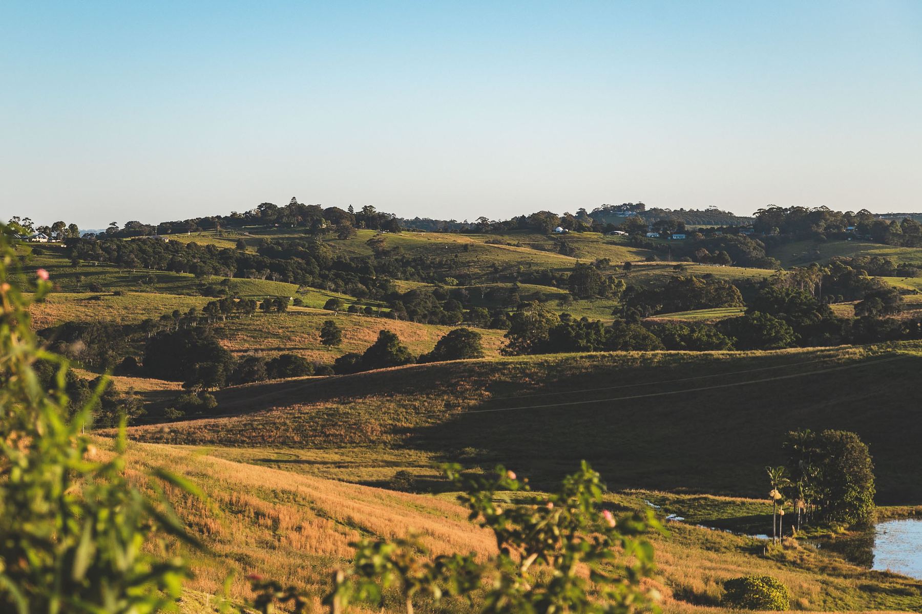 Talofa — coastal landscape, Northern Rivers